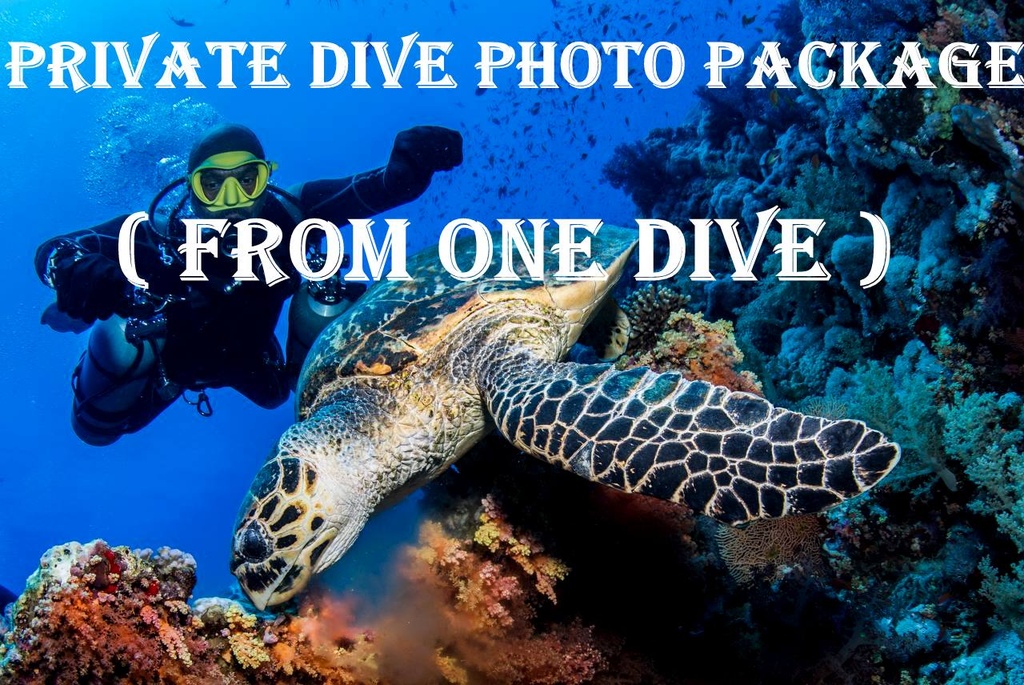 Private Package - 1 PAX 