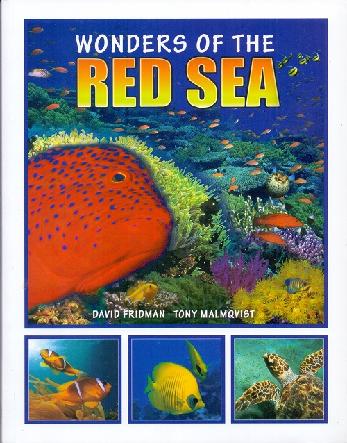 WONDER'S OF THE RED SEA