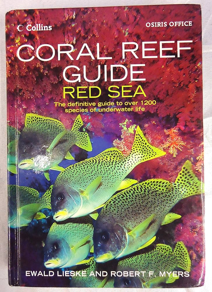 Fish of the Red Sea