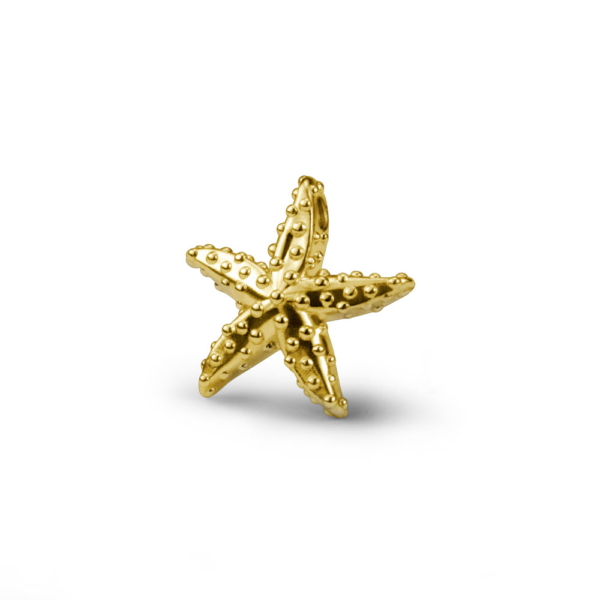 Sea star pendant
