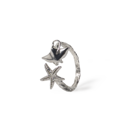 Star and manta ring