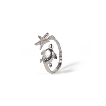 Star and turtle ring