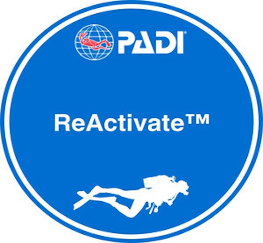 PADI Reactivate