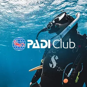 Book & Certification fee for Open Water Course with PADI Club Membership