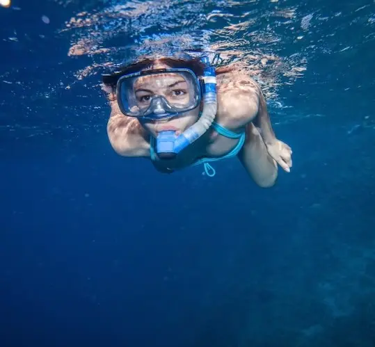 Night snorkeling by boat with dinner