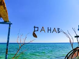 Excursionist Dahab