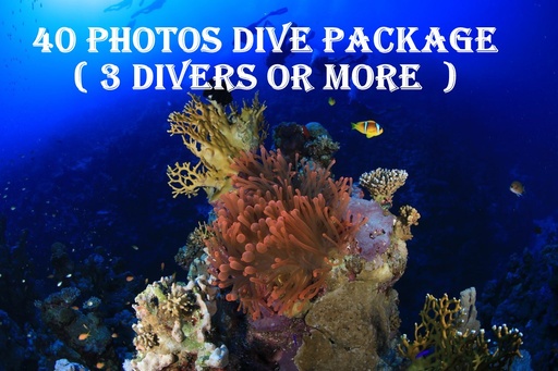40 Photo Package Diver (3 Diver or Over) 
