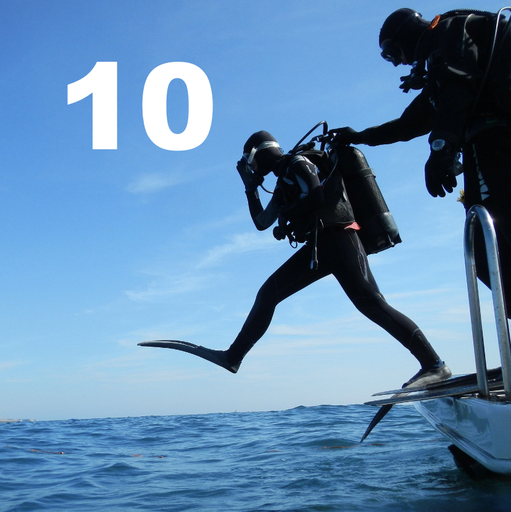 10 Dives by Boat or Shore