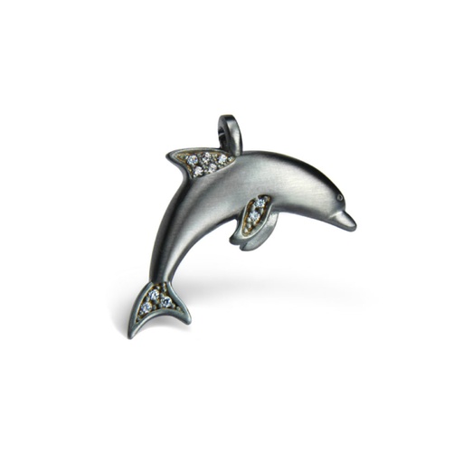 Dolphin with stones