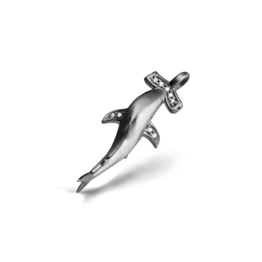 Hammerhead shark with stones