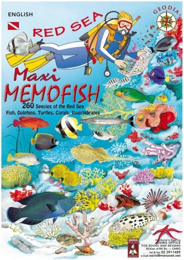 MAXI MEMOFISH 5 Languages.