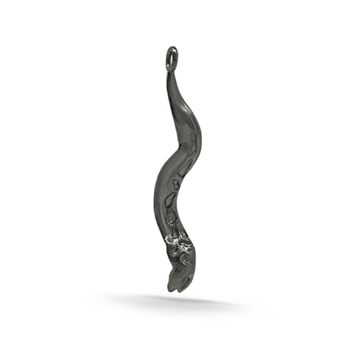 Moray pendant