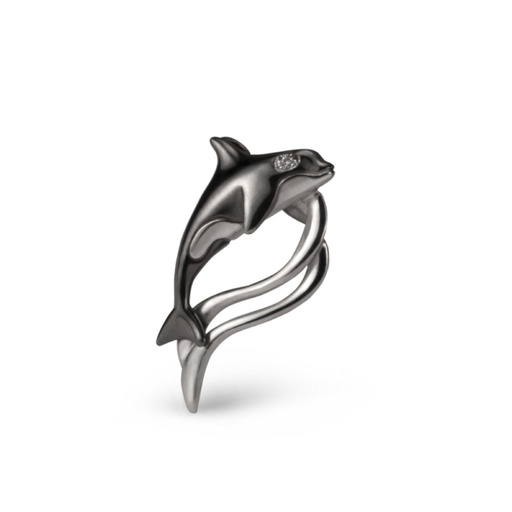 Orca with waves
