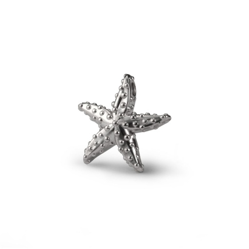 Sea star pendant