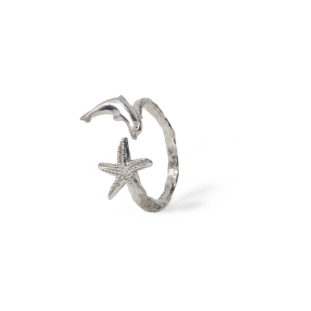 Star and dolphin ring