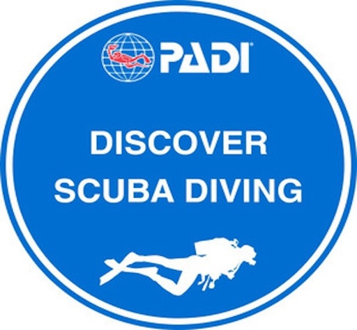Quick Discover Scuba Diving / Dive after Scuba Diver Session AFTER DSD
