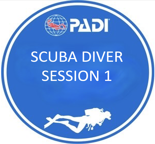  DSD Scuba Diver Session 1