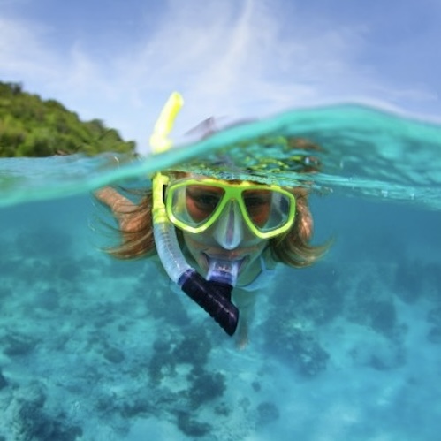 Snorkeling Guide