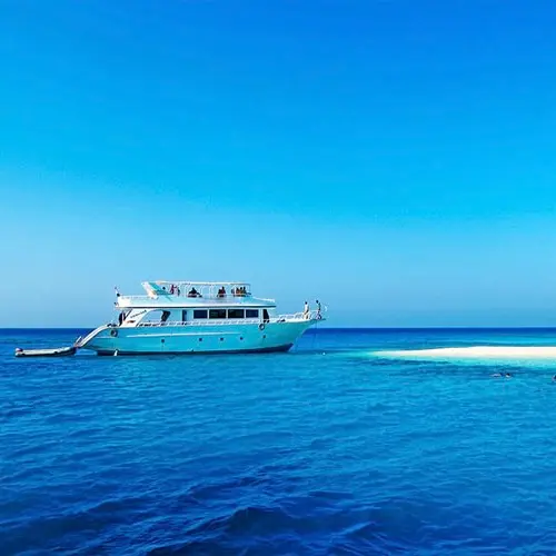 White Island Snorkeling trip to Ras Mohamed by boat – full day (adult)