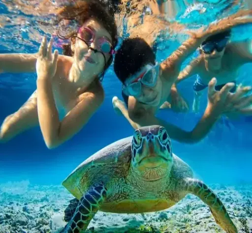 White Island Snorkeling trip to Ras Mohamed by boat – full day (child 3–12)