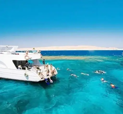 Snorkelen op het eiland Tiran met de boot - hele dag (volwassene)