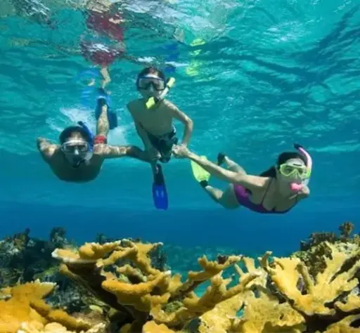 Snorkelen op het eiland Tiran met de boot - hele dag (kind 3-12)
