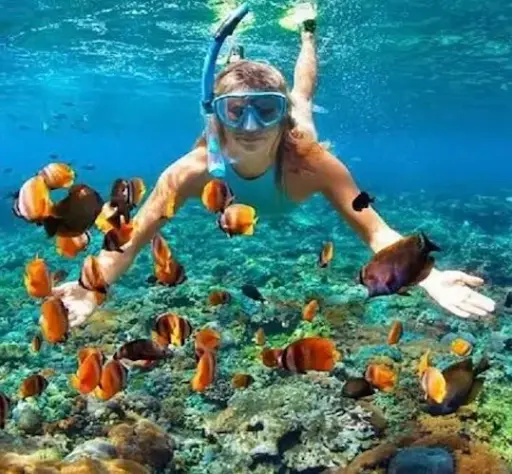 Snorkeling from beach – day time
