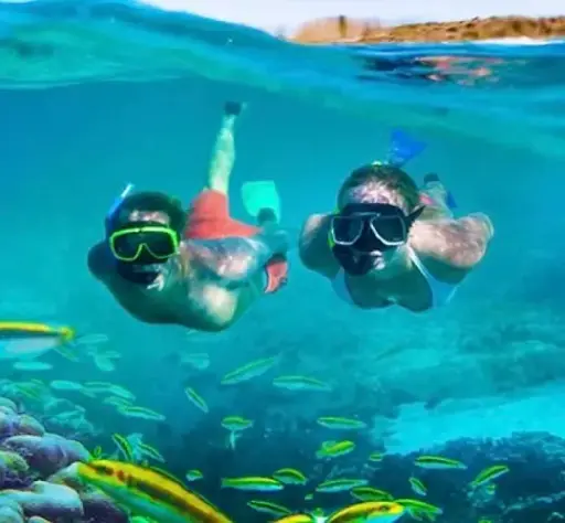 Snorkelen in Ras Mohamed over land
