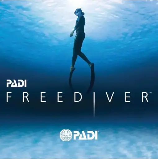PADI Free diver