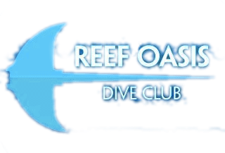 Reef Oasis Dive Club-SSH